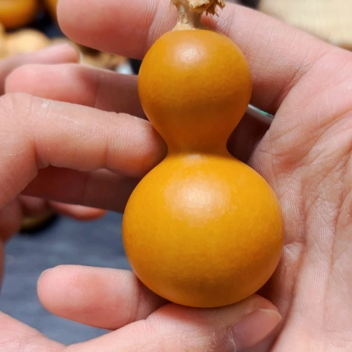 坤***源8888888888888888888888