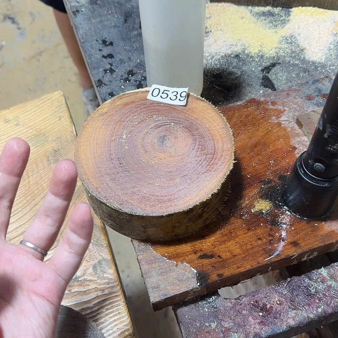 大果紫檀（缅甸花梨）绿檀539