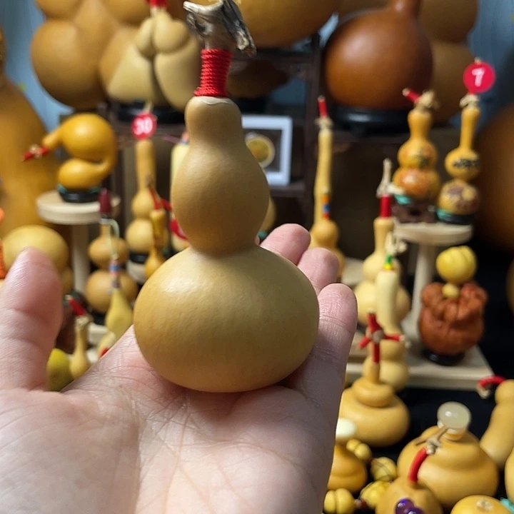 ～***~葫芦丝和音乐也可以在