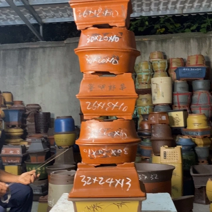 紫砂花盆今天下午吃了吗……