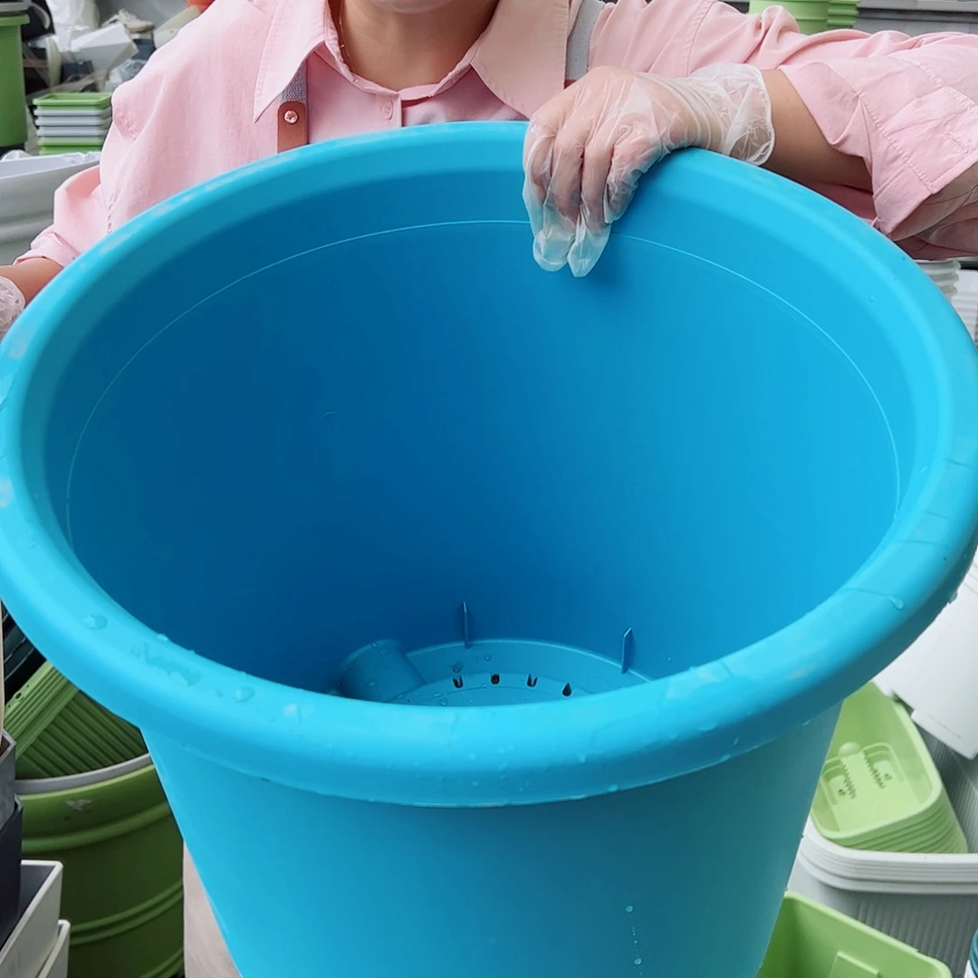 瑕疵四季盆9#蓝色3个无托