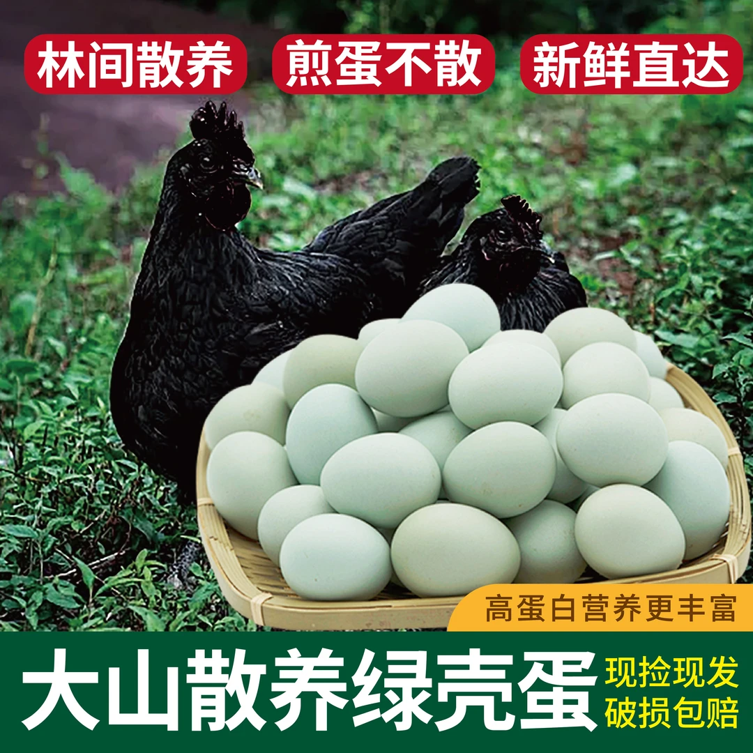 农家散养绿壳乌鸡蛋