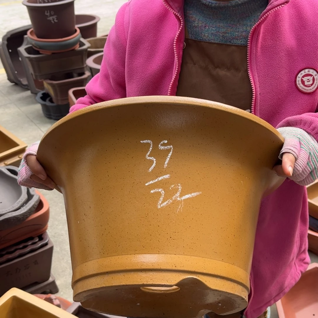 紫砂花盆盆景艺术