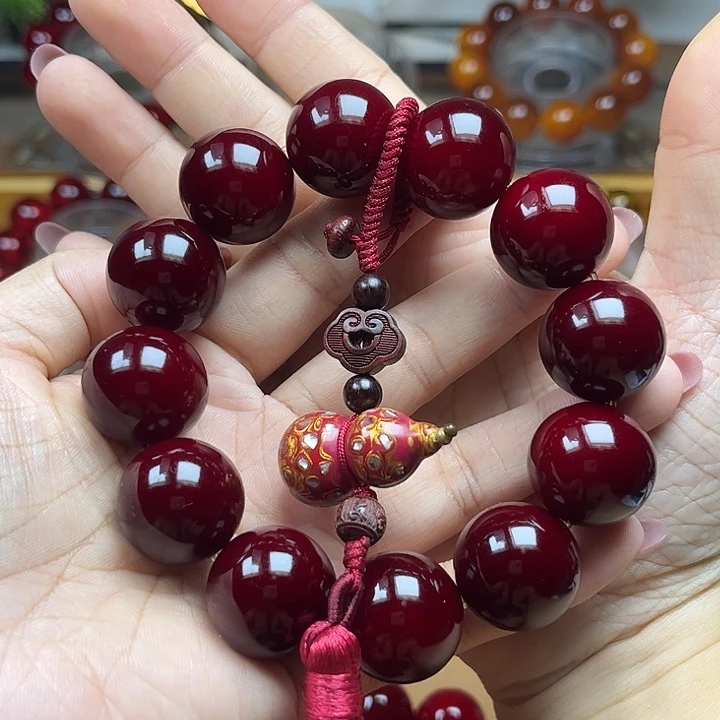 小***謝贝壳杉（血龙木）其他