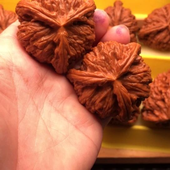 ****鑫核桃核桃核桃核桃