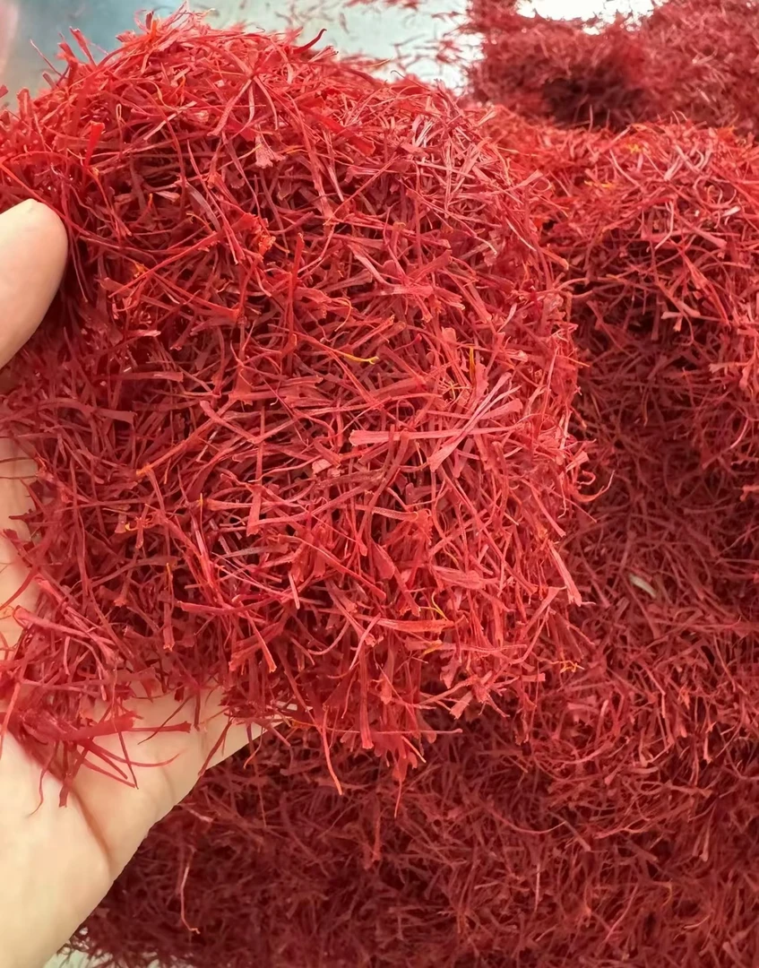 张正带你逛中原早市【藏红花】