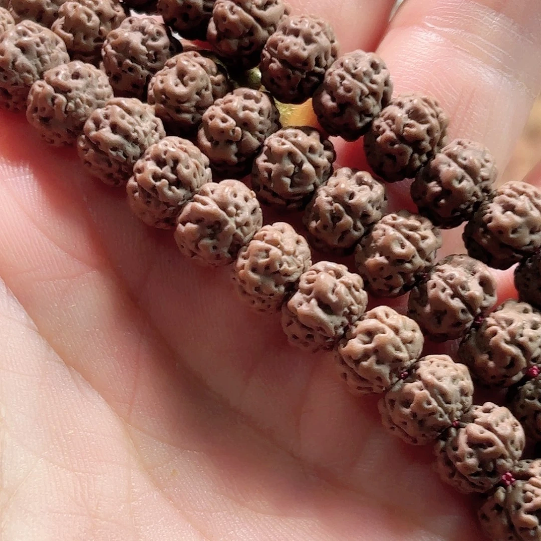 永***奋印度尼西亚小金刚神秘一号长串