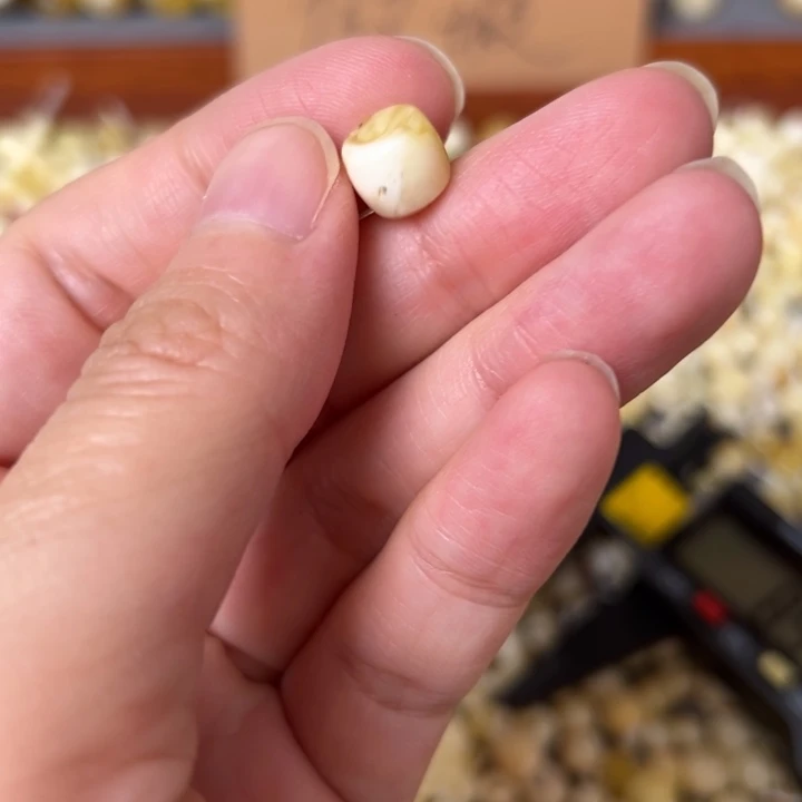 蜜蜡未镶嵌裸石8.5mm一个