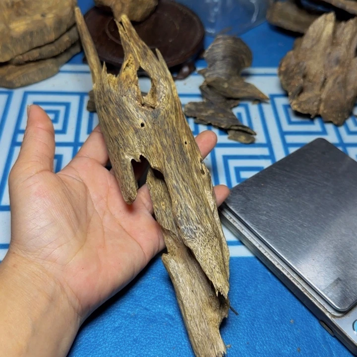 琳***木质绿奇汝湖虫漏37克