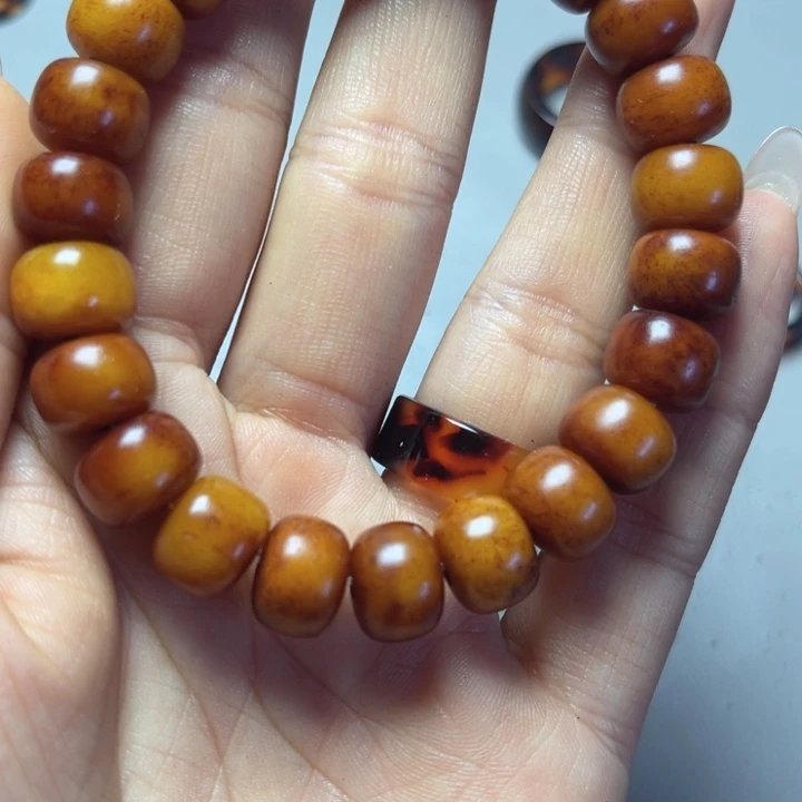 大果紫檀（缅甸花梨）