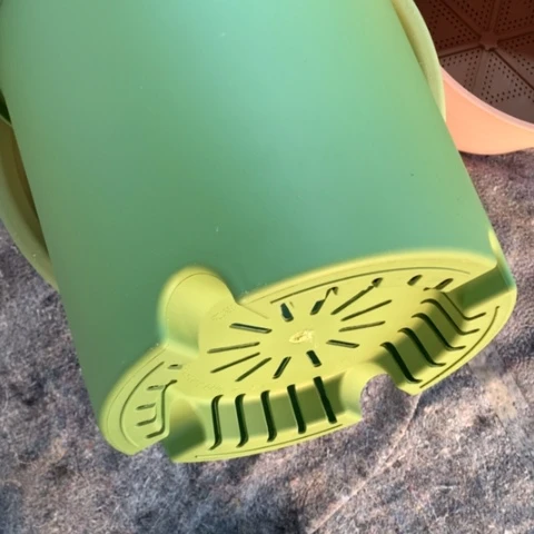 红陶6加果绿无托微瑕3个