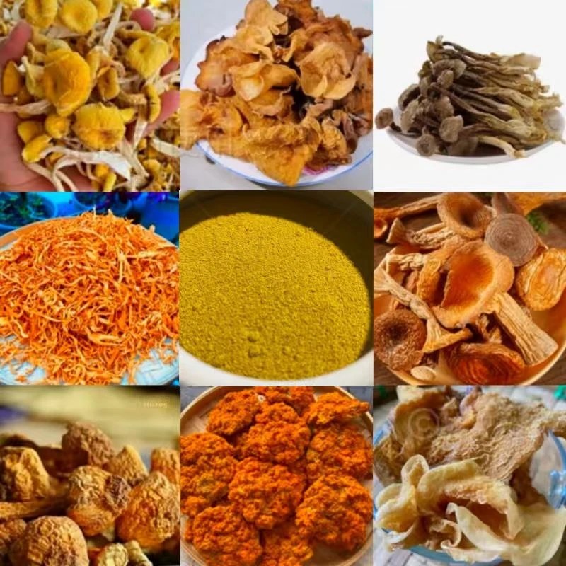 云南土特产 缅金粉15g