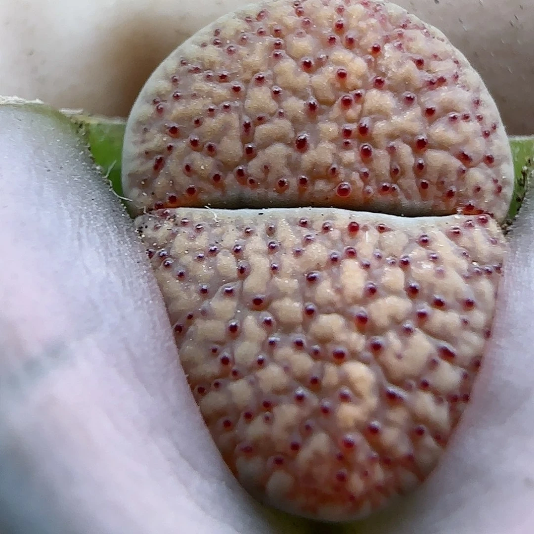 191福利福利福利