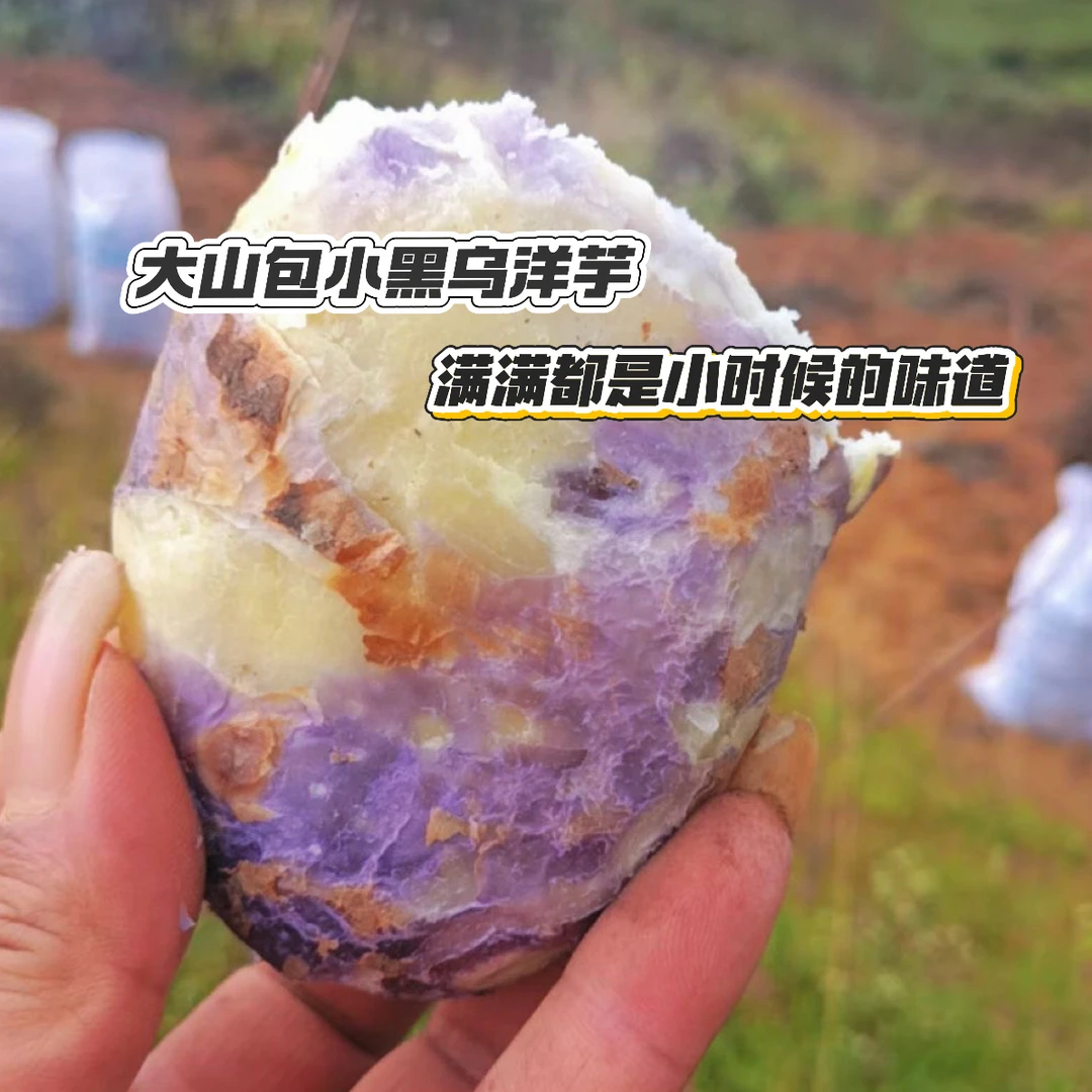 【花青素】昭通大山包小黑土豆新鲜紫皮乌洋芋土豆马铃薯粉糯沙面