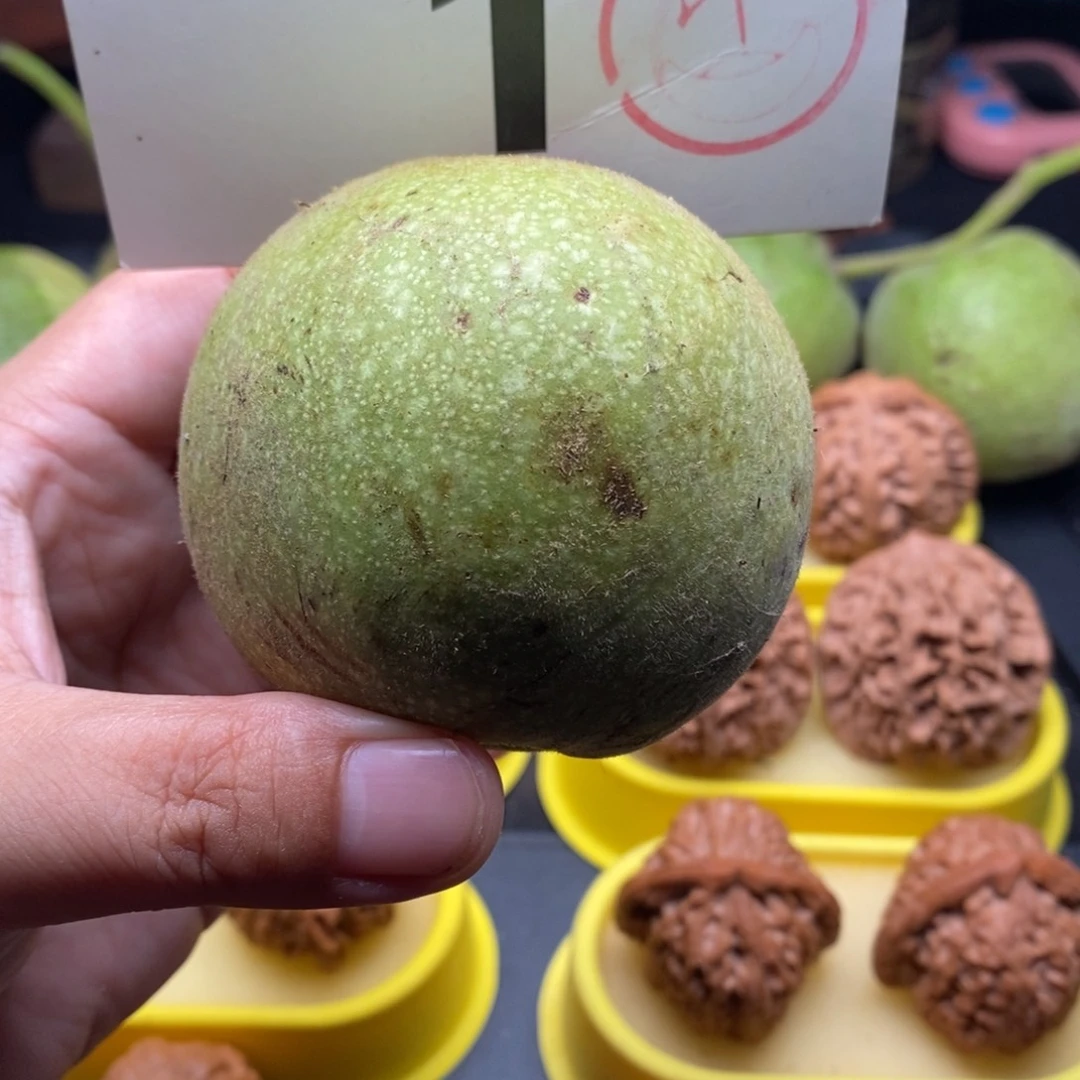 文玩核桃吊坠帝王青皮8个尺寸均匀的