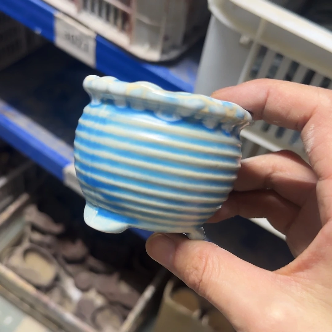 福利局绿植多肉盆［凑9元包邮24小时发］3072