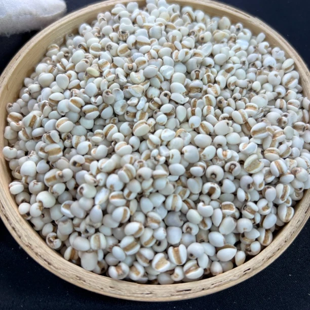 【鸡哥专属】薏米 【虾干福利】