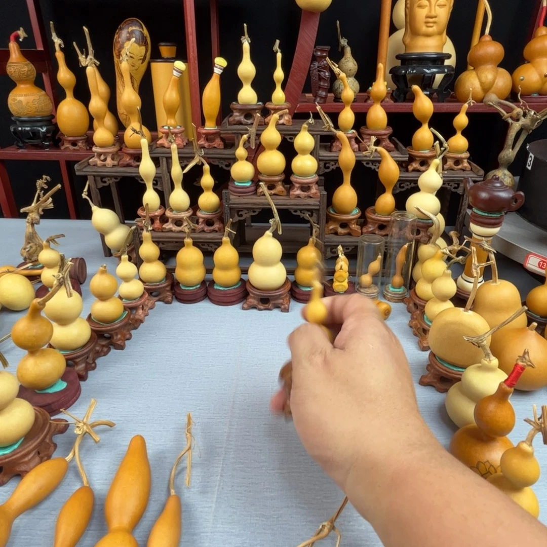 ****ŋ藤木我的小可爱，一点也不像个女孩