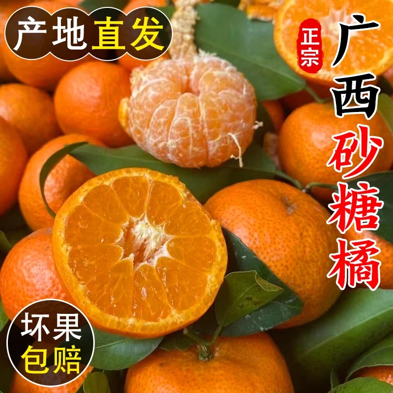 【坏果包赔】广西正宗现摘砂糖橘时令应季水果小砂糖桔子整箱tx1