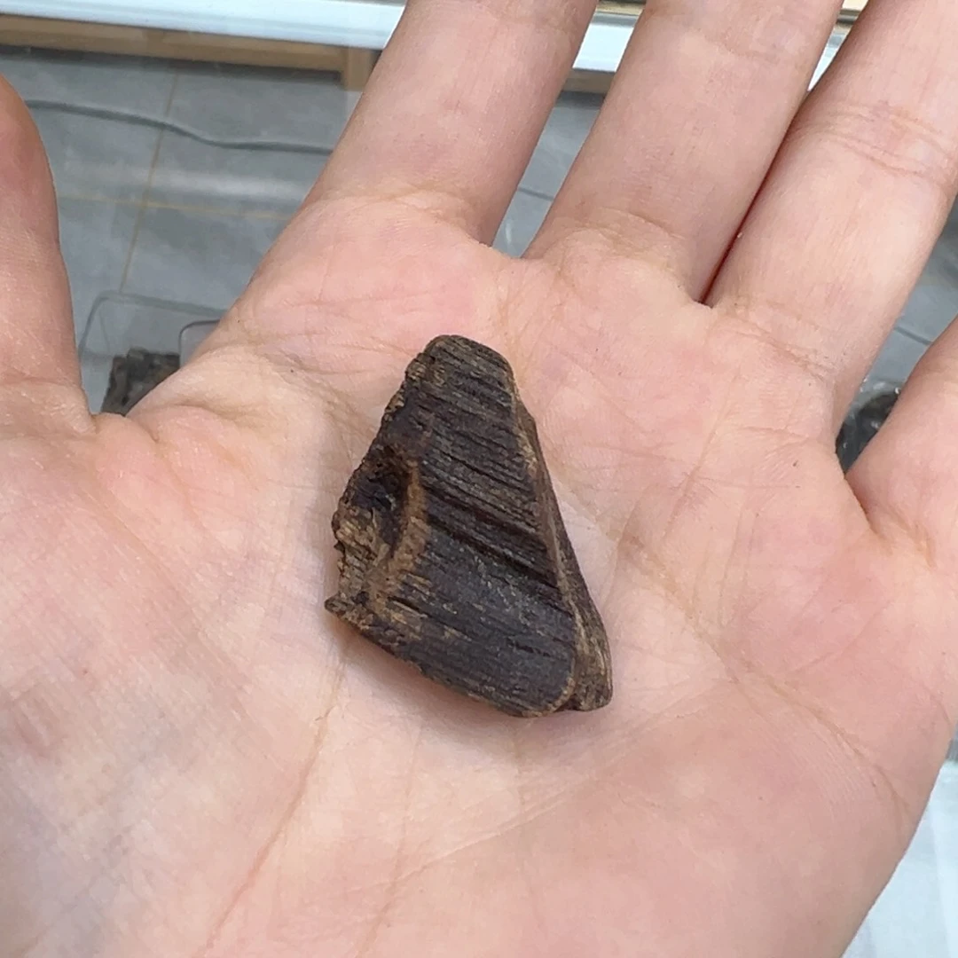 【闪购商品】香榧木老*子海南木料大山黑棋3.9克