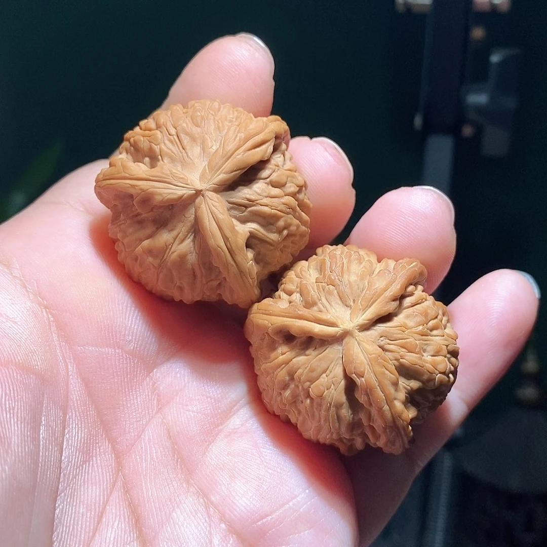 文玩核桃把件37白奔