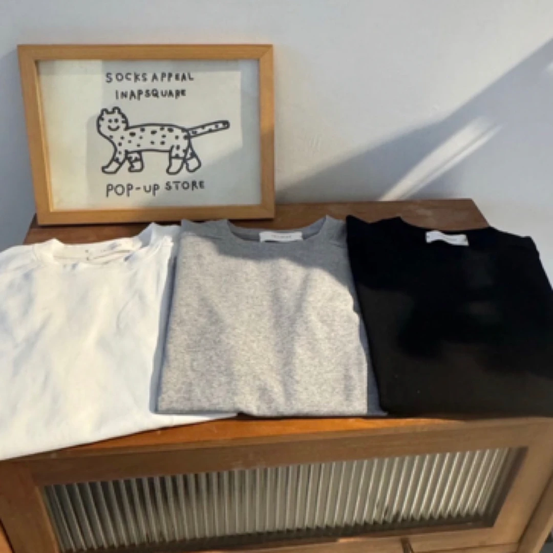 25051 春季上新百搭休闲韩系三色基础短袖