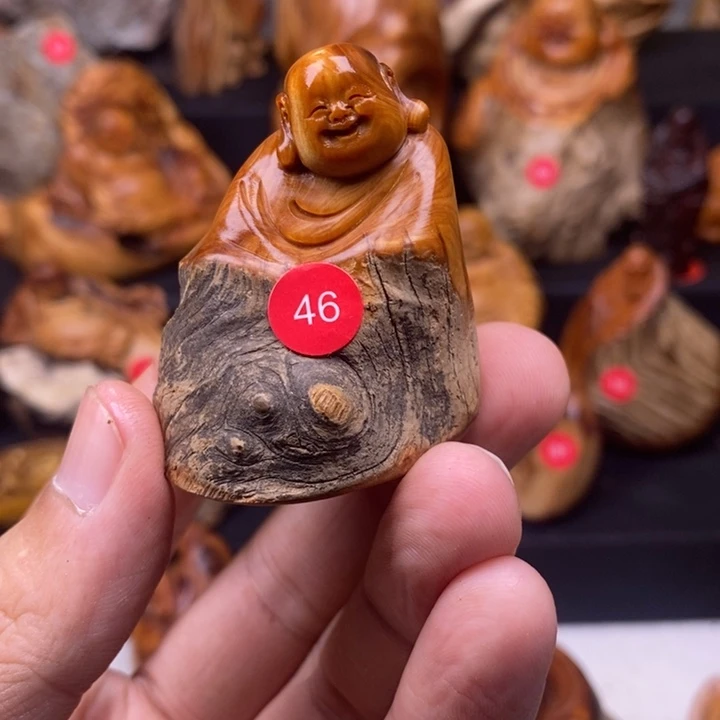 长***号柏木（崖柏）2588369999