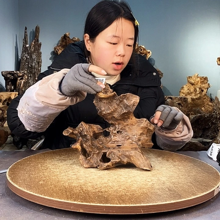 茶盏何*有638株木的随行的根艺