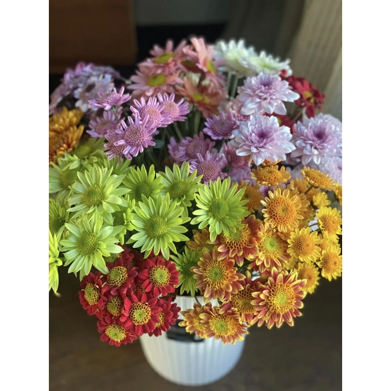 其他【A级小菊10枝】（任意三件包邮）未拍保温棉，冻伤不售后