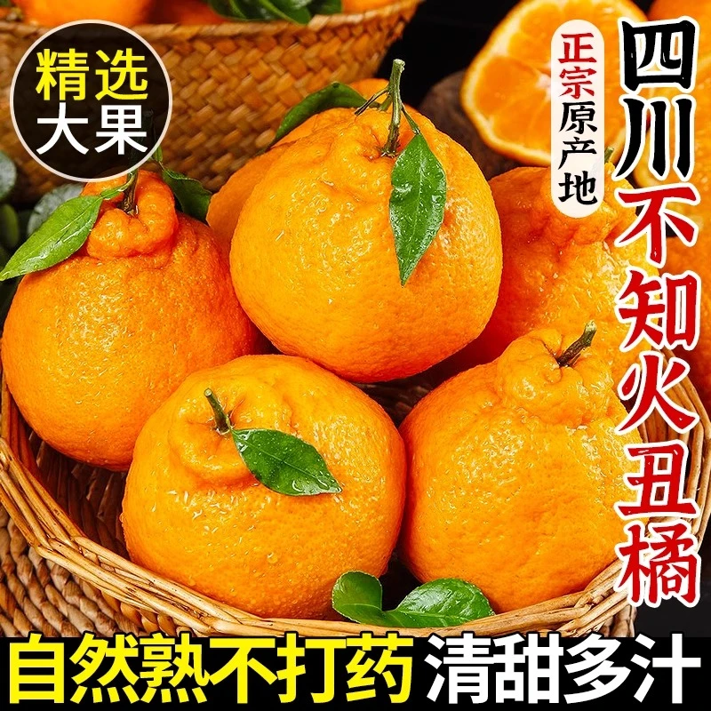 正宗四川不知火丑橘新鲜水果当季丑八怪丑哭桔子丑柑丑桔整箱包邮