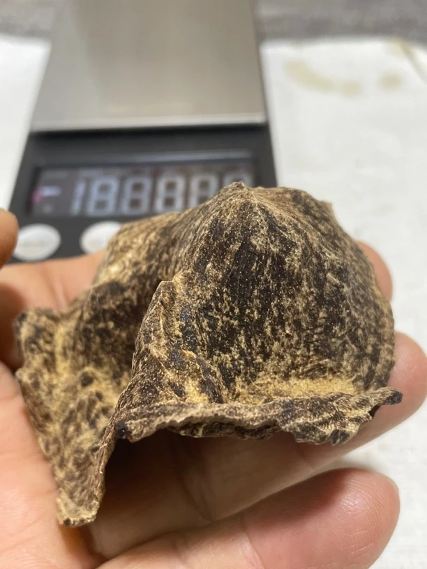 沉香沉水古树包壳7.8克，尖峰岭树干料，清香花香甜凉，有奇韵味道。