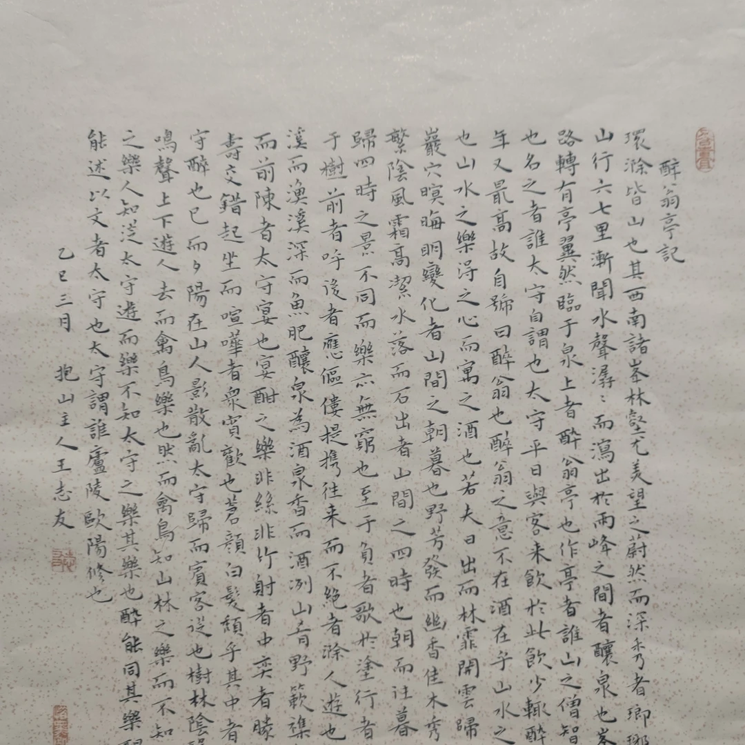 省书协会会员王志友老师精品小楷醉翁亭记