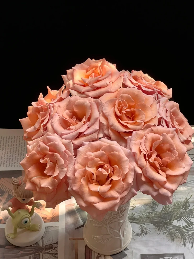 【源头优选】莫泊玫瑰-任意2单鲜花包邮 发货后不支持退款