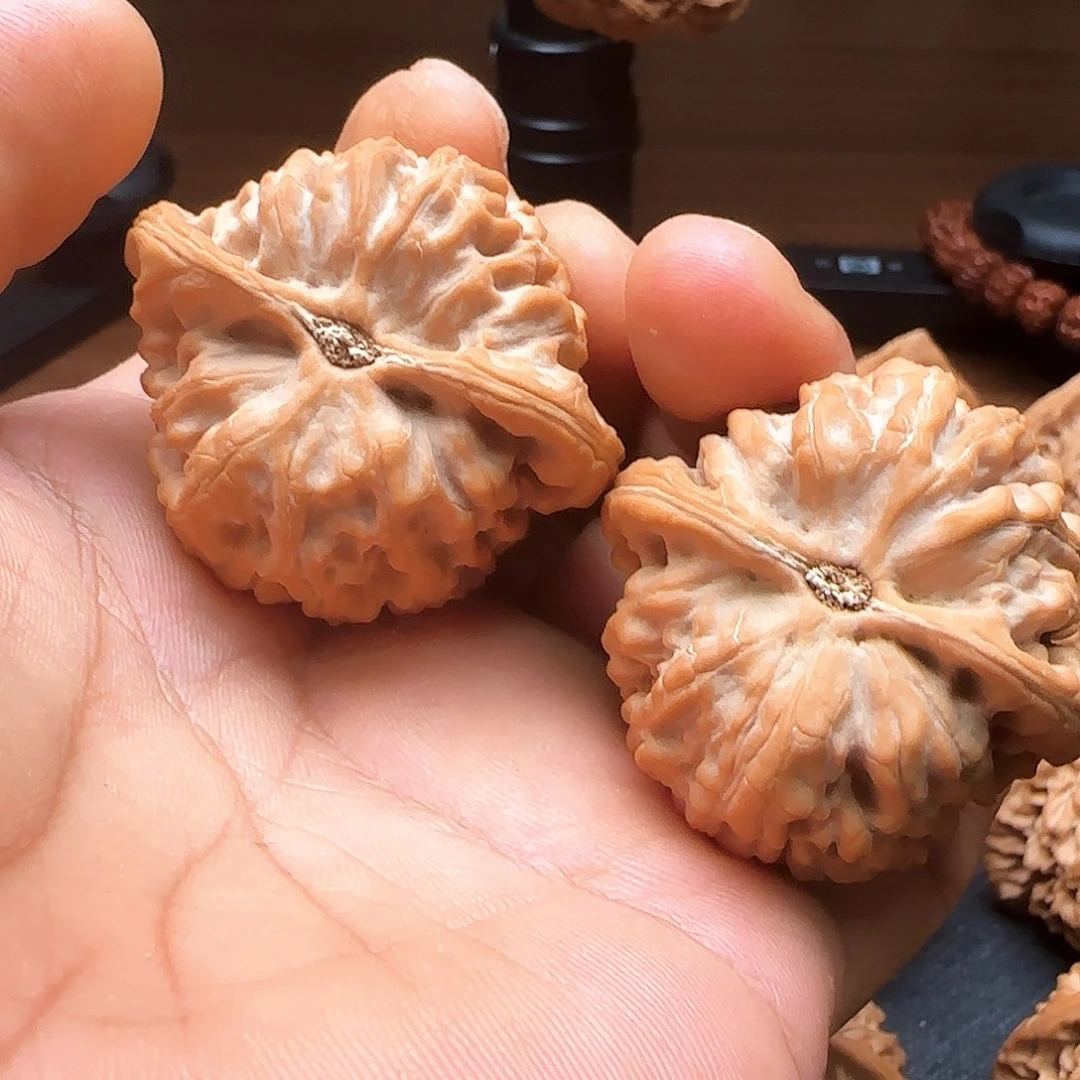 文玩核桃把件蒋**宝陕西秦岭霸王球