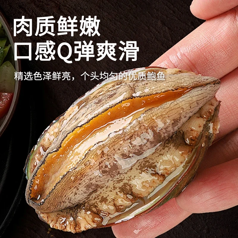 【冷冻发货】东山岛鲍鱼全国配送-顺丰发货冷链打包发货坏单包赔