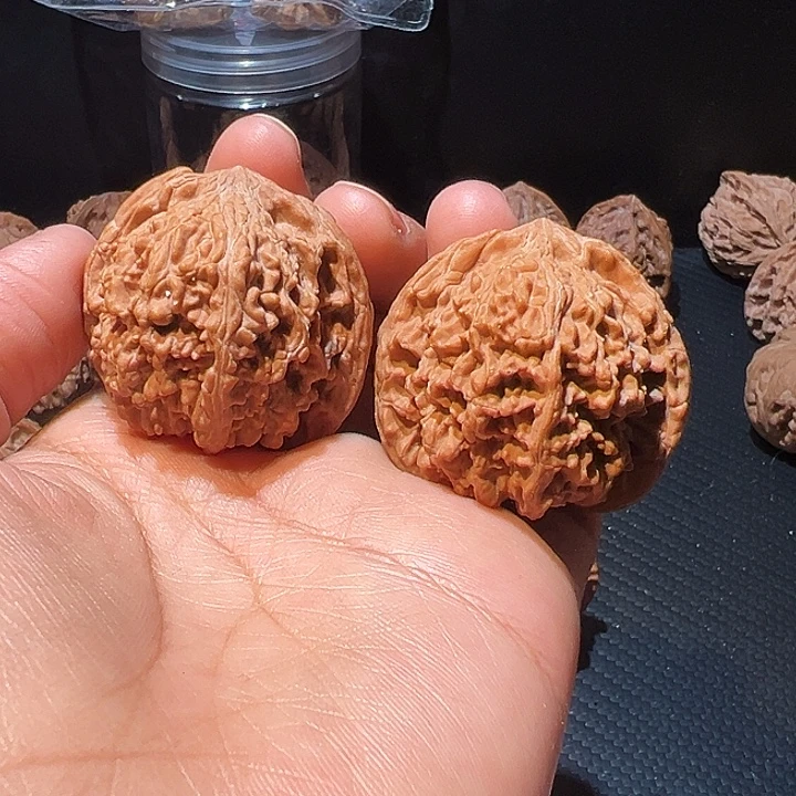 核桃全品无修矮桩满天星