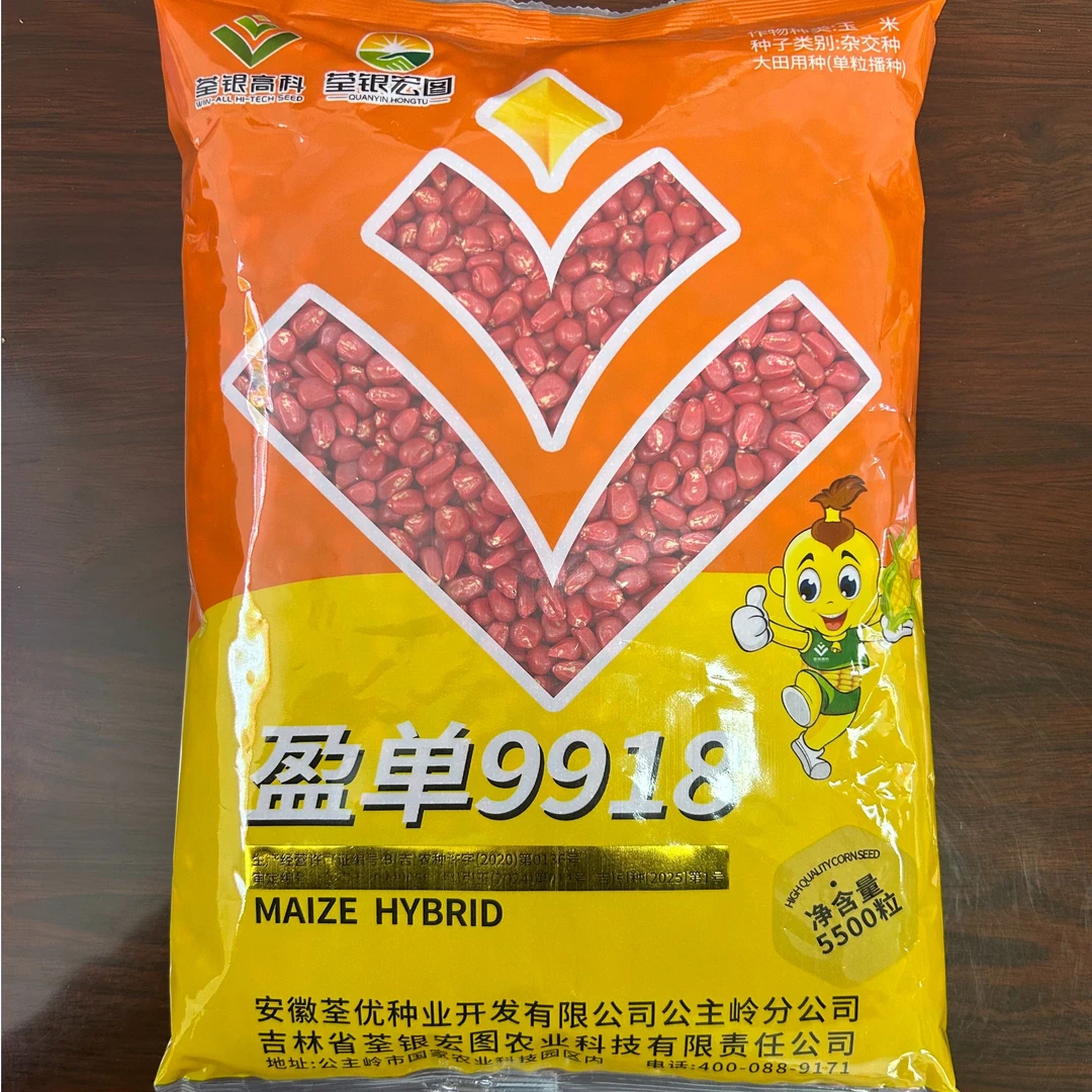 【全款现货】盈单9918 玉米杂交种    拍十赠二