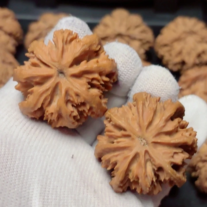 中***东文玩核桃吊坠秦岭灯笼3