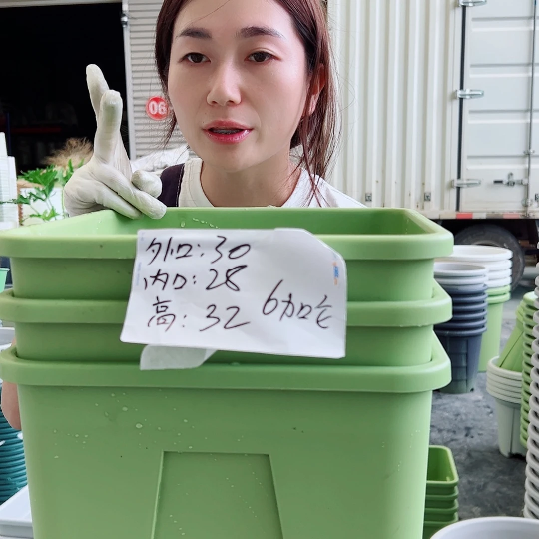 方盆F30果绿3个无托