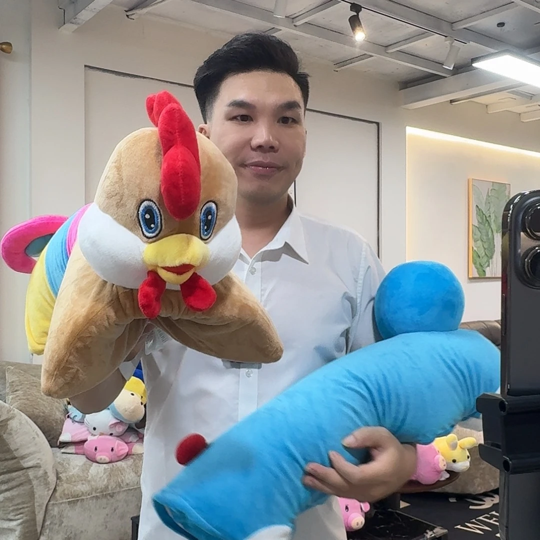 绵羊毛小鸡乳胶枕头