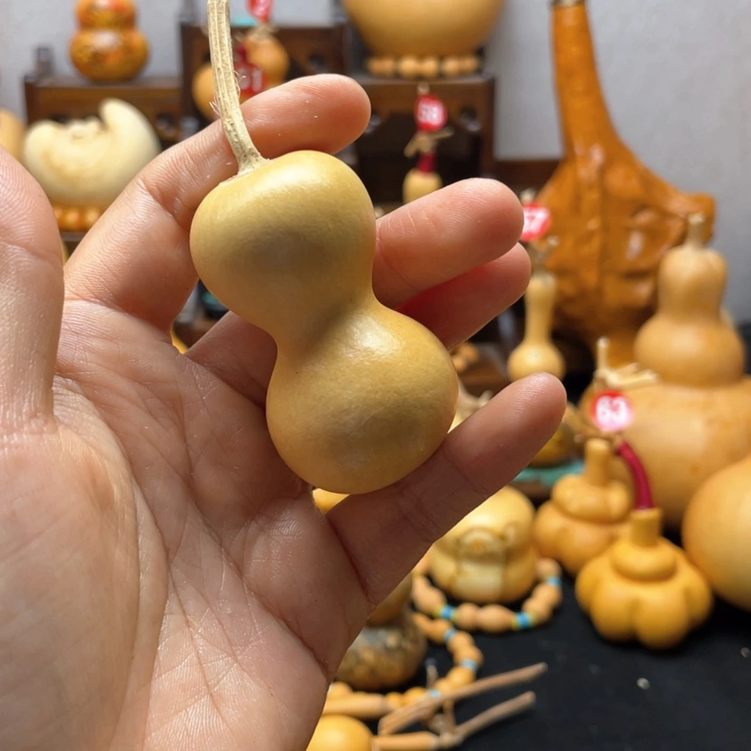 伞*叁大自然的秘密第十一节的