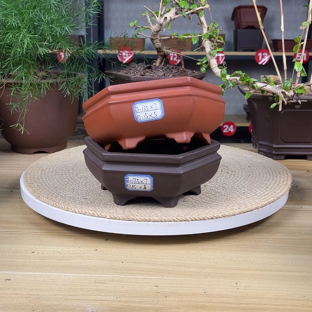 紫砂花盆紫砂花盆