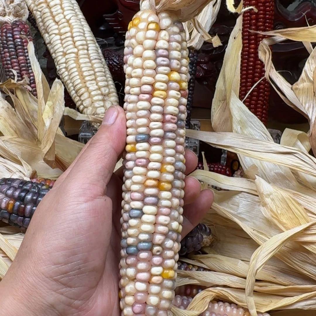 刘***他柏香籽/百香籽吊坠