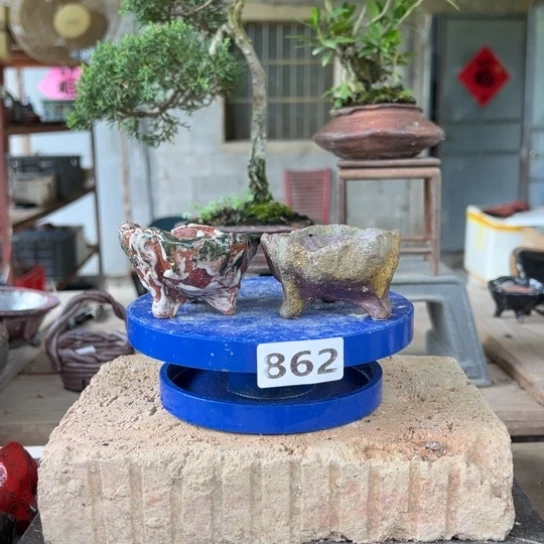 862///////////////