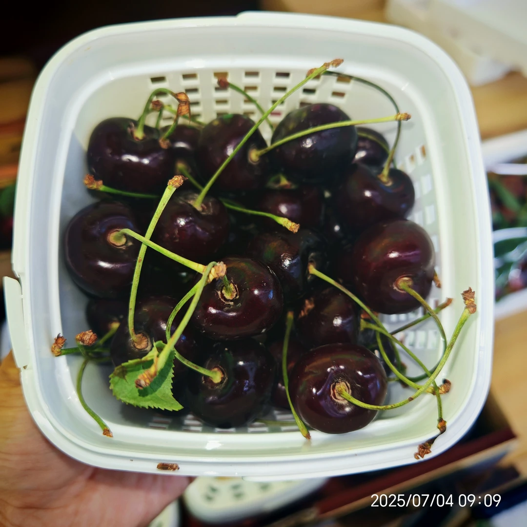 车厘子小桶装小时达同城送货L约200g其他品种