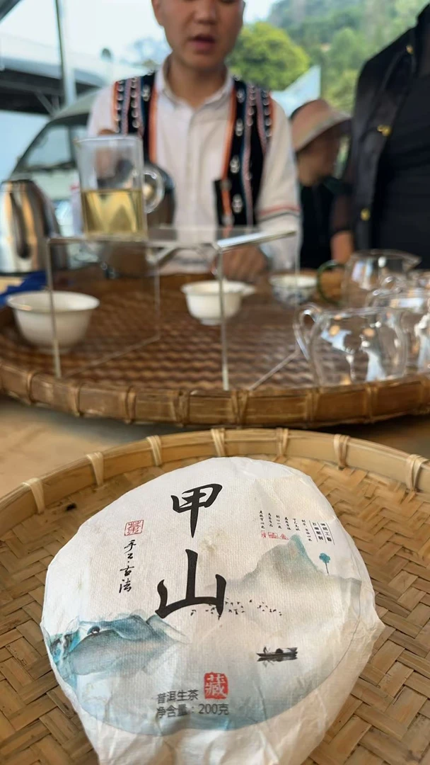 李桂芝2021年冰岛坝卡甲山56号/200克饼茶/普洱生茶/可长期存放