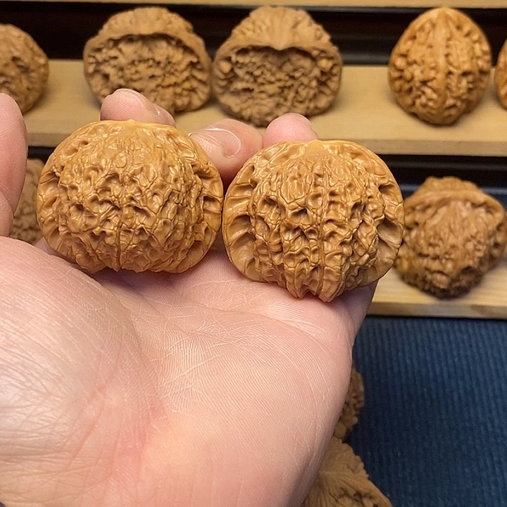 核桃血麒麟43福利