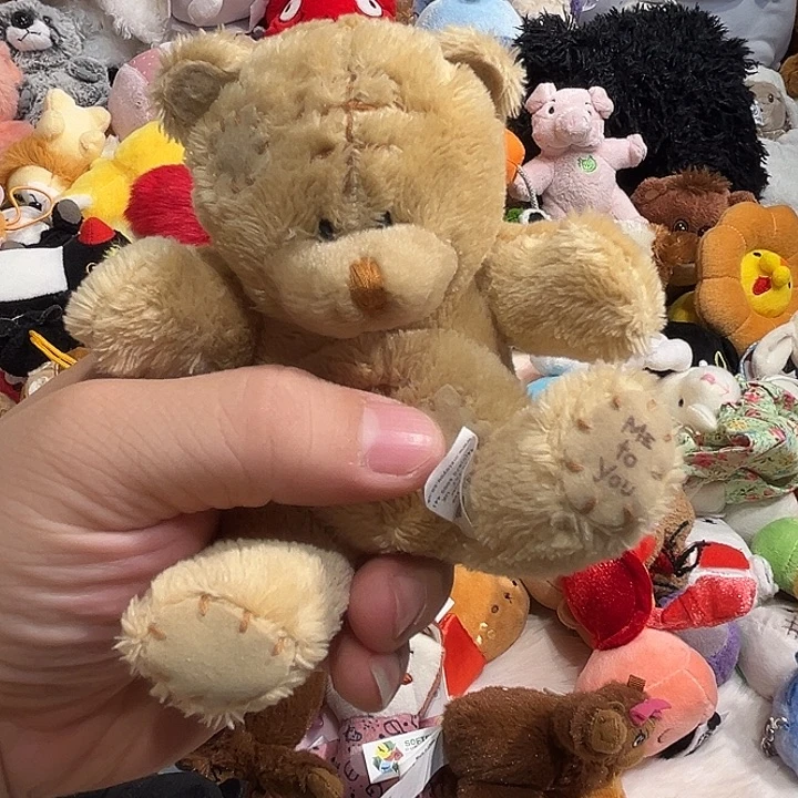 毛绒玩偶颗粒软软