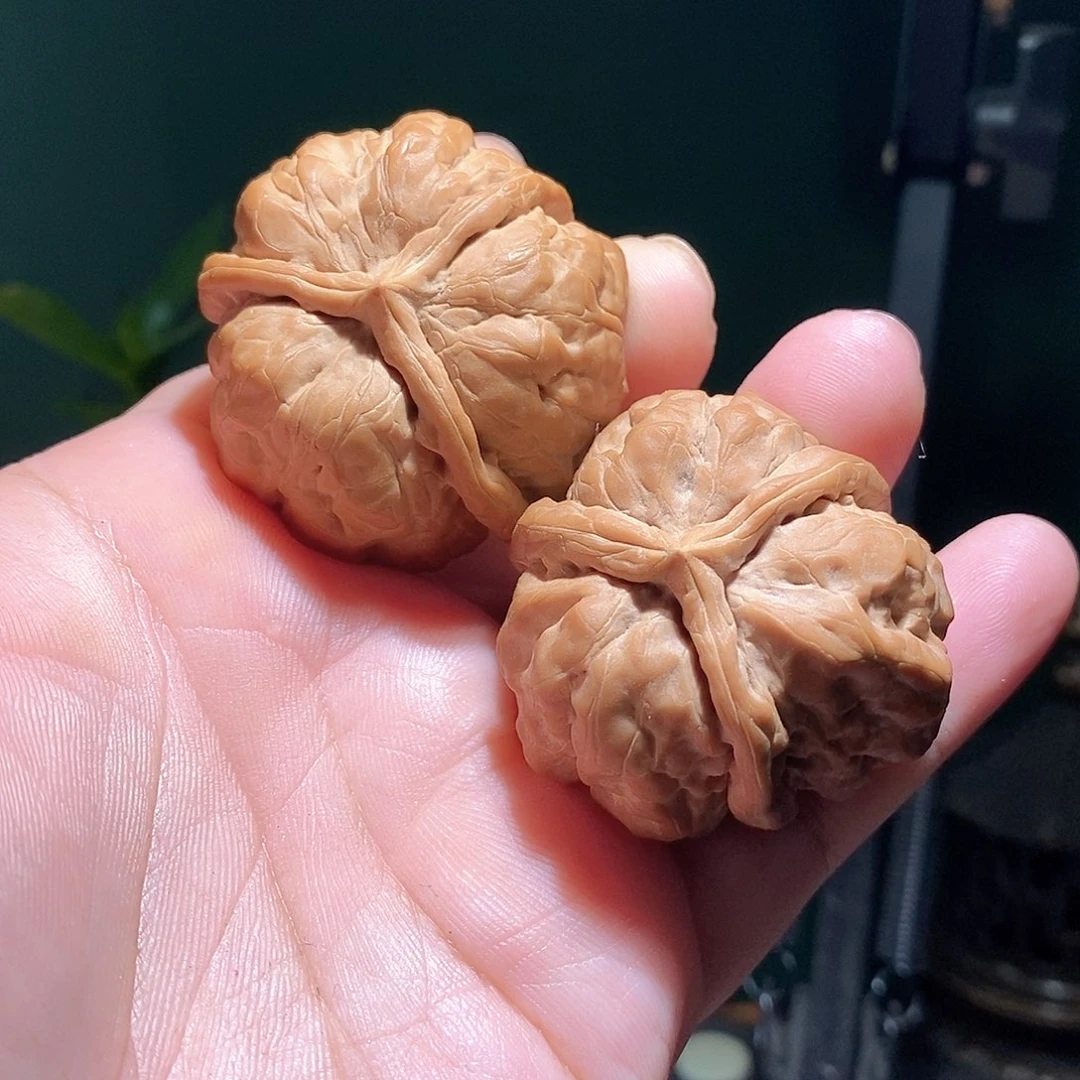 把件文玩核桃43蛤蟆头三棱全品