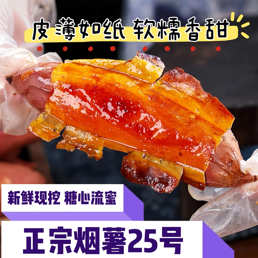 山东正宗烟薯25号红薯新鲜现挖现发糖心流油软糯香甜5斤